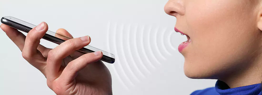 Residential and Commercial Voice Recognition Access Solutions in West Palm Beach, FL